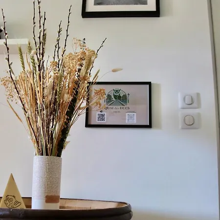 Quai Des Ducs شقة ديجون