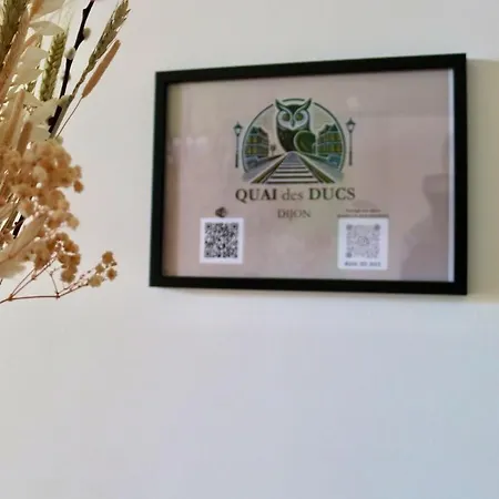 شقة Quai Des Ducs ديجون