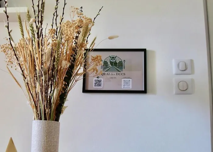 Quai Des Ducs Lejlighed Dijon